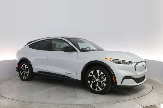 2021 Ford Mustang Mach-E — photo 11 of 23