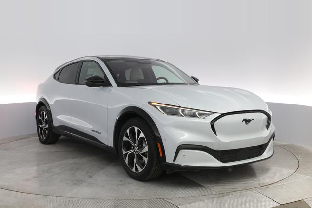 2021 Ford Mustang Mach-E — photo 10 of 23