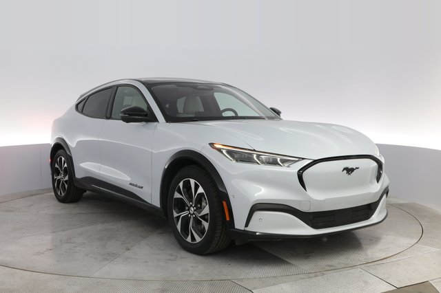 2021 Ford Mustang Mach-E — photo 10 of 23