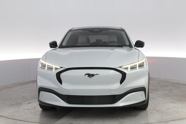 2021 Ford Mustang Mach-E — photo 9 of 23