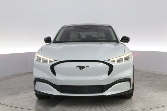 2021 Ford Mustang Mach-E — photo 9 of 23