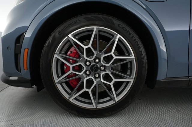 2024 Ford Mustang Mach-E — photo 15 of 22