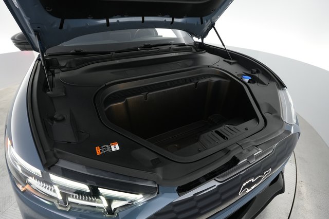 2024 Ford Mustang Mach-E — photo 21 of 22