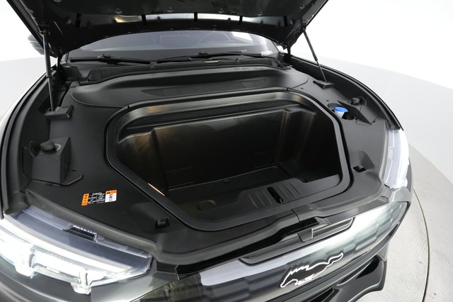 2022 Ford Mustang Mach-E — photo 21 of 24