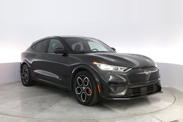 2022 Ford Mustang Mach-E — photo 10 of 24