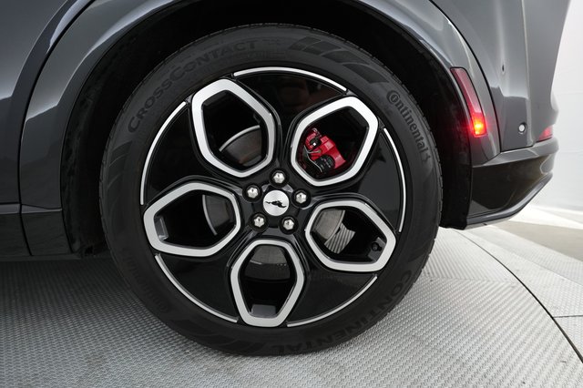 2022 Ford Mustang Mach-E — photo 16 of 24