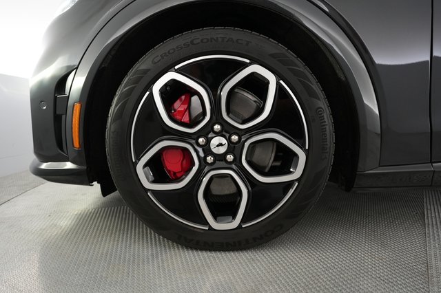 2022 Ford Mustang Mach-E — photo 15 of 24