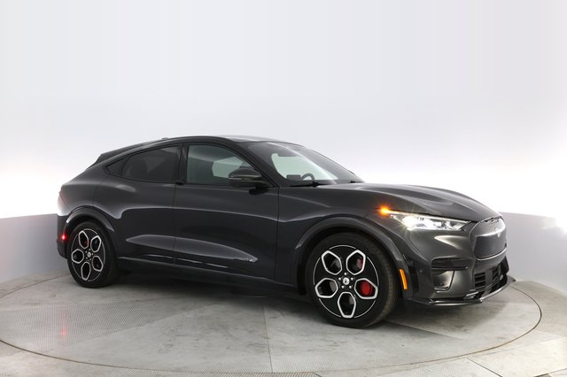 2022 Ford Mustang Mach-E — photo 11 of 24