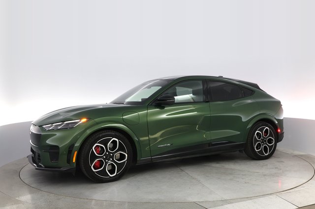 2024 Ford Mustang Mach-E — photo 14 of 24