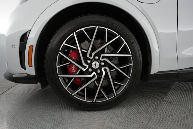 2021 Ford Mustang Mach-E — photo 17 of 25