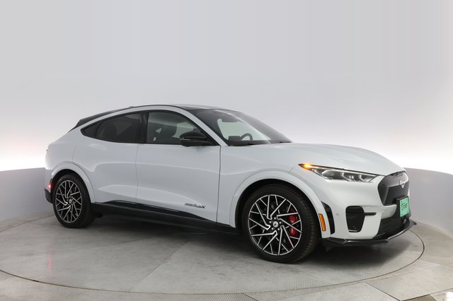 2021 Ford Mustang Mach-E — photo 11 of 25