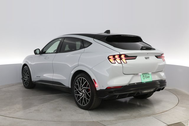 2021 Ford Mustang Mach-E — photo 13 of 25