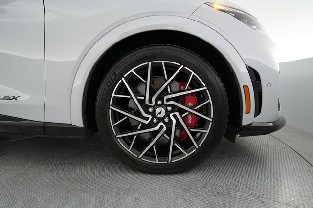 2021 Ford Mustang Mach-E — photo 15 of 25