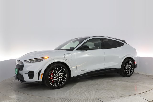 2021 Ford Mustang Mach-E — photo 14 of 25