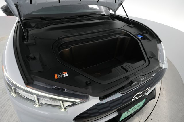 2021 Ford Mustang Mach-E — photo 21 of 25