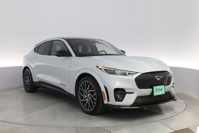 2021 Ford Mustang Mach-E — photo 10 of 25