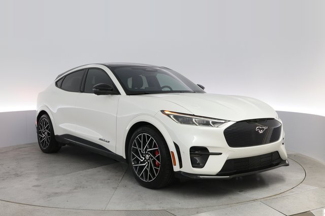 2023 Ford Mustang Mach-E — photo 10 of 22