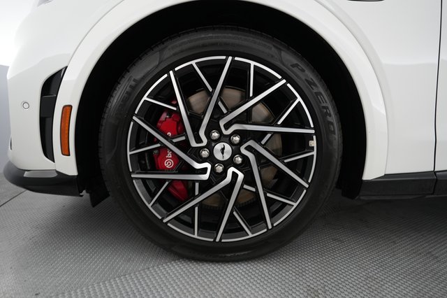 2023 Ford Mustang Mach-E — photo 16 of 22