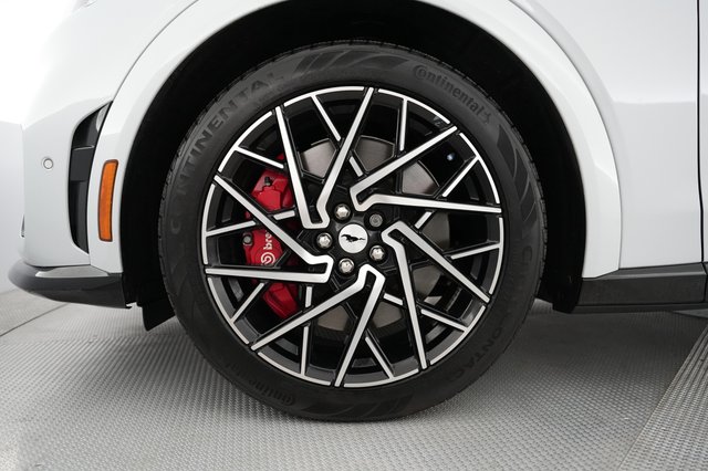 2023 Ford Mustang Mach-E — photo 15 of 22