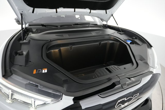 2023 Ford Mustang Mach-E — photo 21 of 22