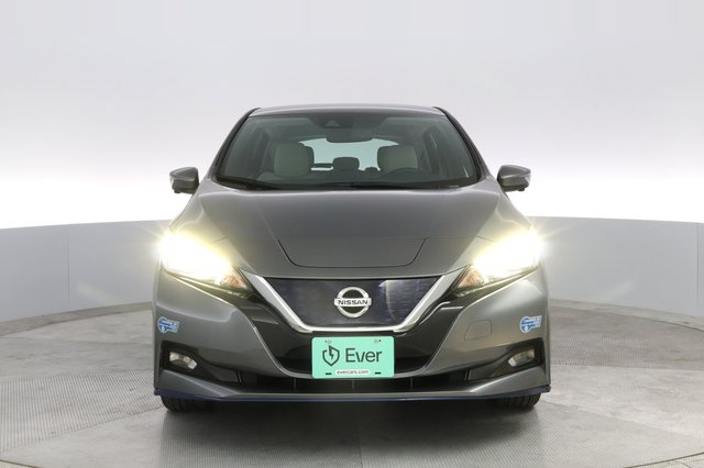 2020 Nissan LEAF — photo 9 of 20