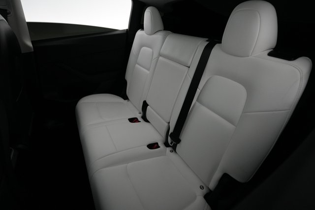 2024 Tesla Model Y — photo 19 of 20