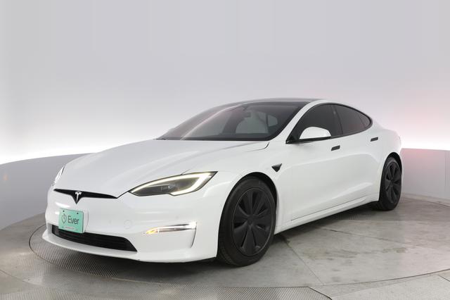 2023 Tesla Model S — VIN 5YJSA1E51PF499810