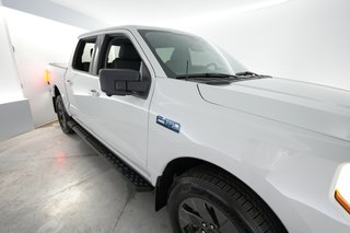 2024 Ford F-150 Lightning — photo 11 of 20