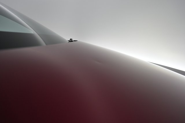 2024 Tesla Model Y — photo 26 of 28