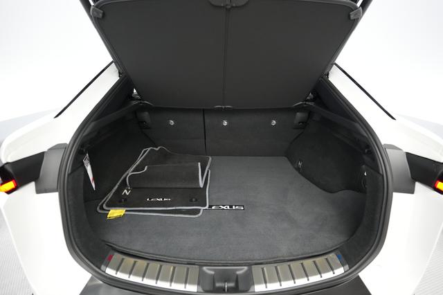 2024 Lexus RZ — photo 6 of 22