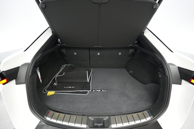 2024 Lexus RZ — photo 6 of 22