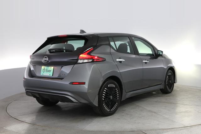 2024 Nissan LEAF — photo 2 of 20