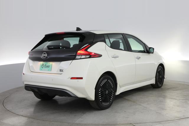 2024 Nissan LEAF — photo 2 of 20