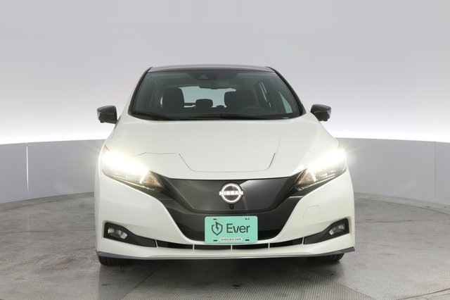 2024 Nissan LEAF — photo 8 of 20