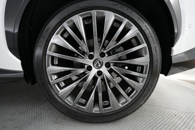 2023 Lexus RZ