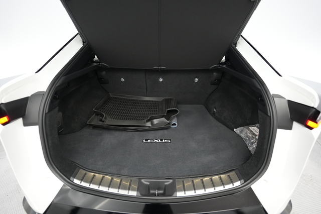 2023 Lexus RZ