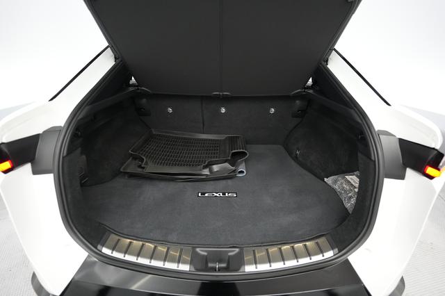 2023 Lexus RZ — photo 6 of 21