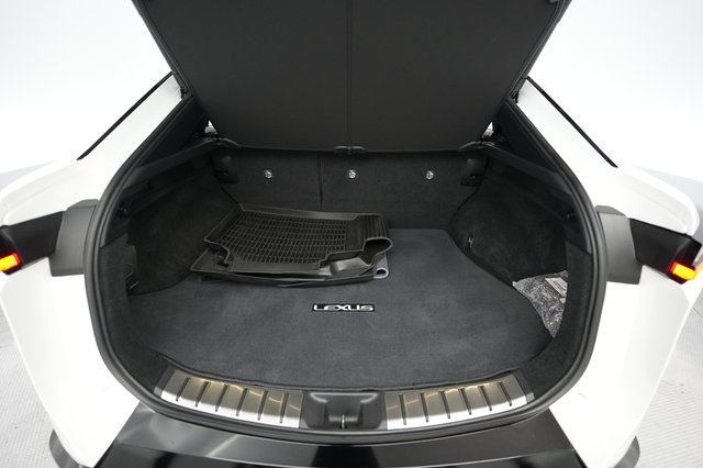 2023 Lexus RZ — photo 6 of 21