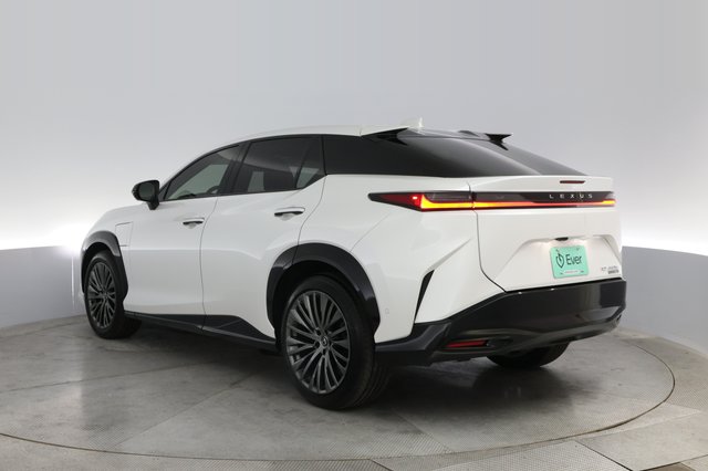 2023 Lexus RZ — photo 13 of 21
