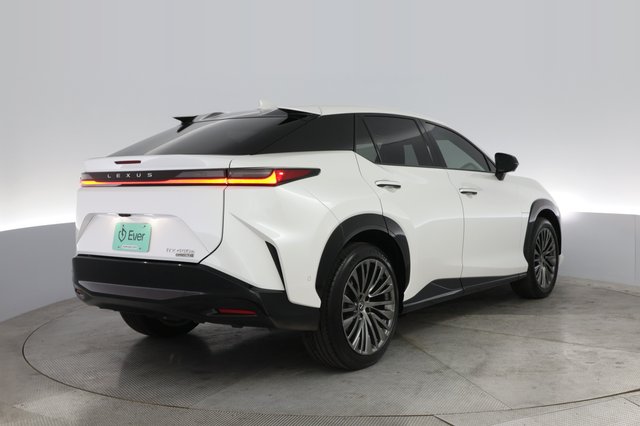 2023 Lexus RZ — photo 2 of 21