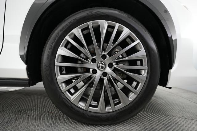 2023 Lexus RZ — photo 7 of 21