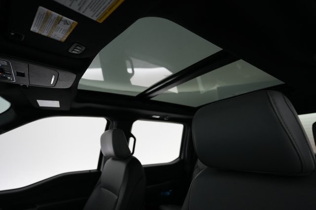 2023 Ford F-150 Lightning — photo 14 of 16