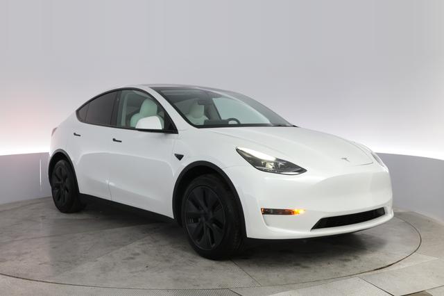 2024 Tesla Model Y — photo 10 of 21
