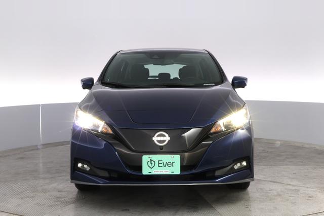 2025 Nissan LEAF — photo 9 of 20