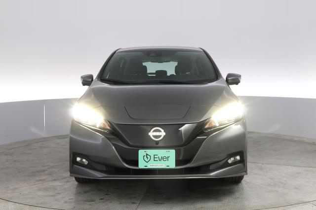 2024 Nissan LEAF — photo 9 of 20