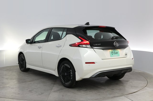 2025 Nissan LEAF — photo 13 of 20