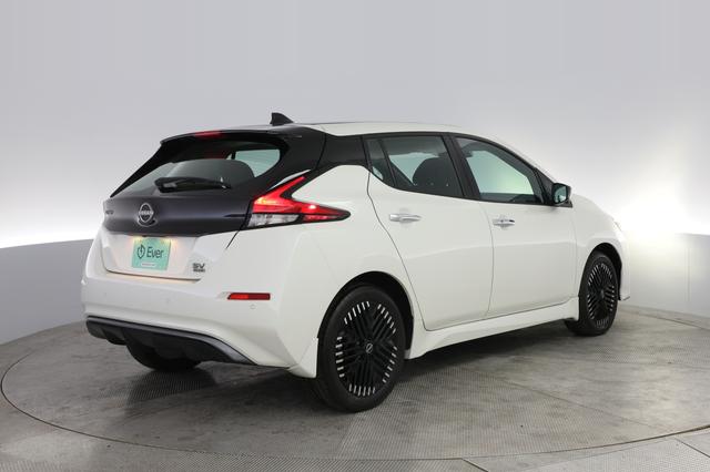 2025 Nissan LEAF — photo 2 of 20