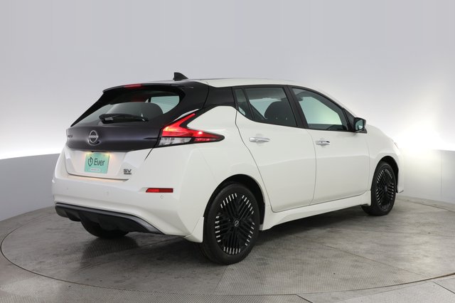 2025 Nissan LEAF — photo 2 of 20