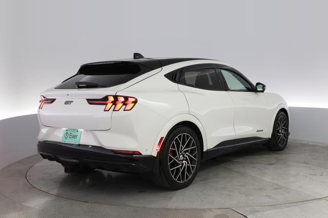 2023 Ford Mustang Mach-E — photo 2 of 21