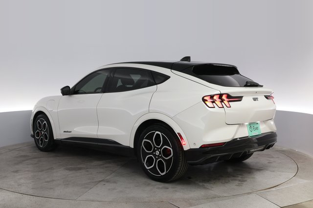 2022 Ford Mustang Mach-E — photo 13 of 22
